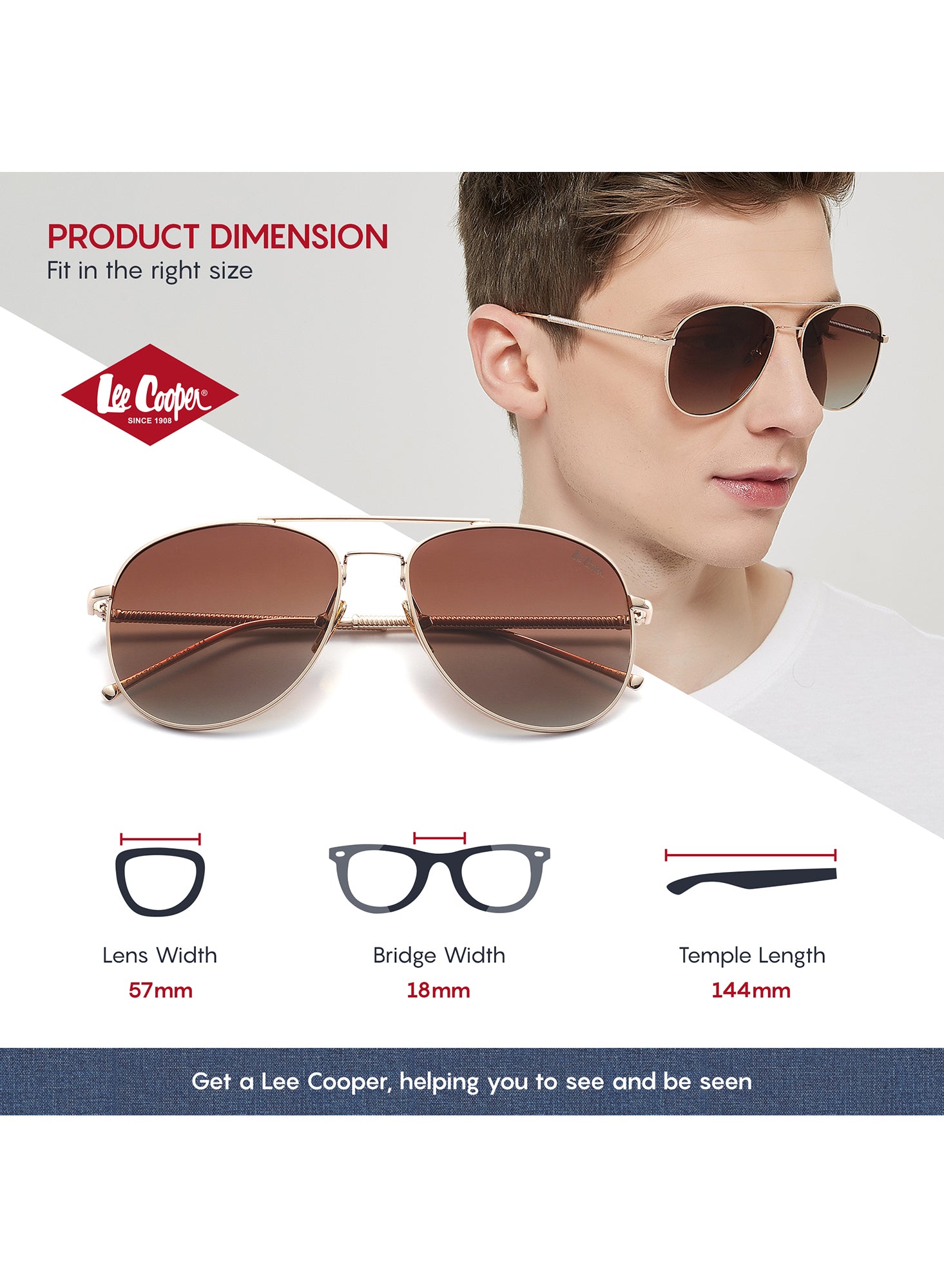 LC1017C03 - Gradient Brown - Gold Frame - Full-Frame Sunglasses