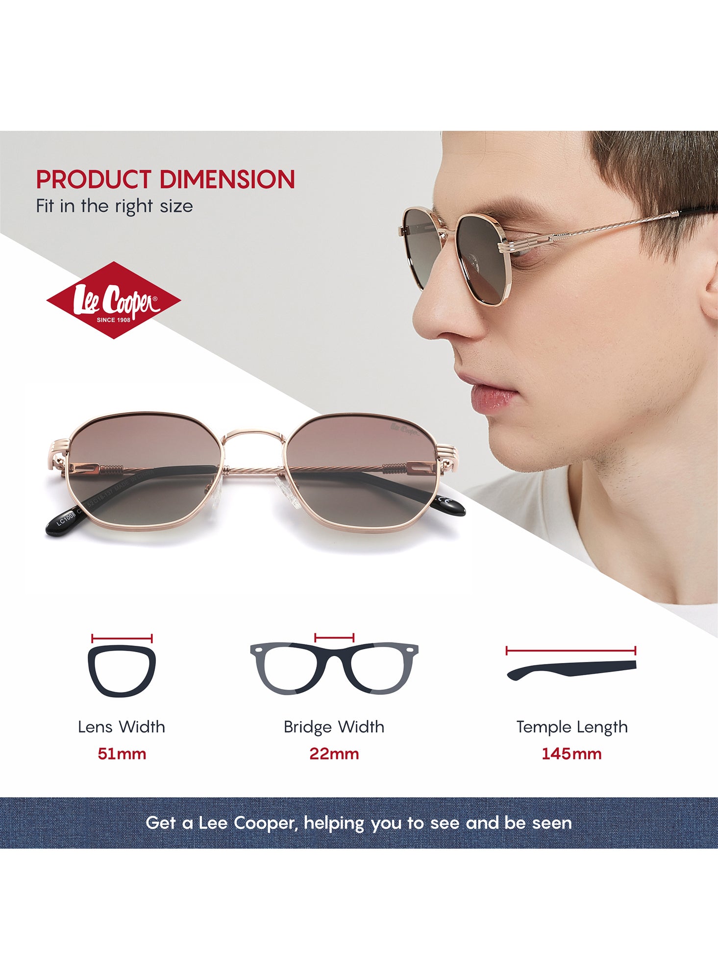 LC1008C01 - Gr.Brown Lens - Gold Frame - Sunglasses